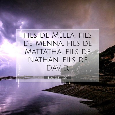 Luc 3:31 LSG Image du verset biblique