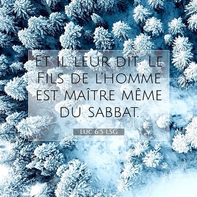 Luc 6:5 LSG Image du verset biblique