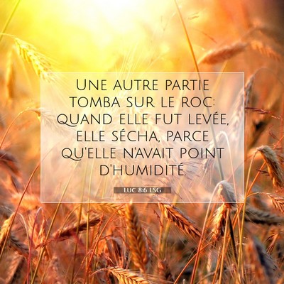 Luc 8:6 LSG Image du verset biblique