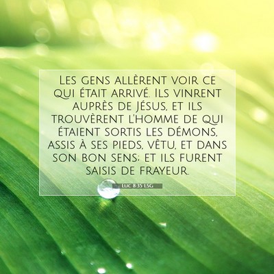 Luc 8:35 Verset biblique expliqué