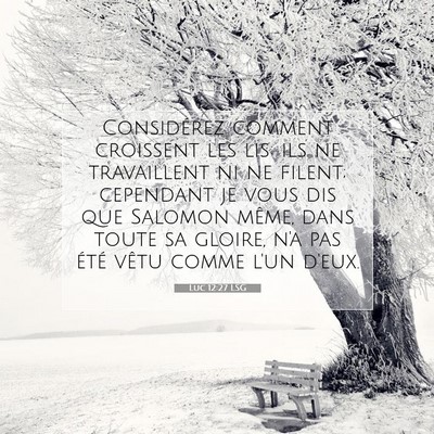 Luc 12:27 LSG Image du verset biblique