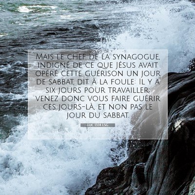 Luc 13:14 LSG Image du verset biblique