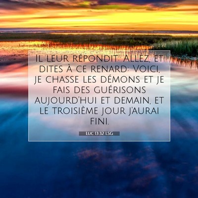 Luc 13:32 LSG Image du verset biblique