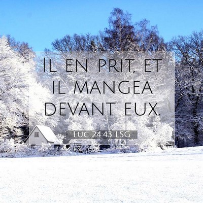 Luc 24:43 Verset biblique expliqué