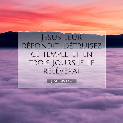 Jean 2:19 LSG Image du verset biblique