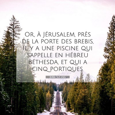 Jean 5:2 LSG Image du verset biblique