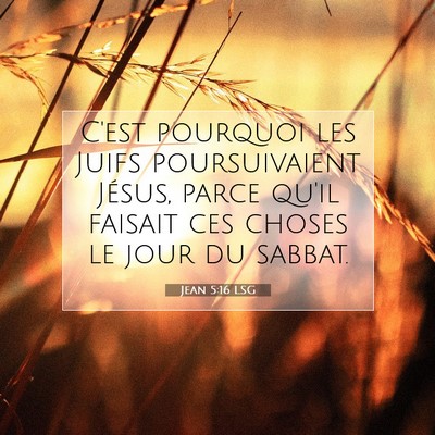 Jean 5:16 LSG Image du verset biblique