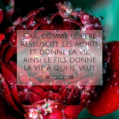 Jean 5:21 LSG Image du verset biblique