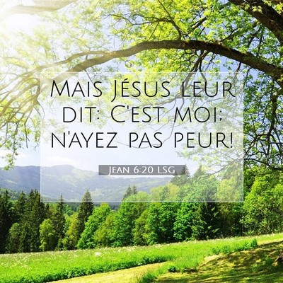 Jean 6:20 LSG Image du verset biblique