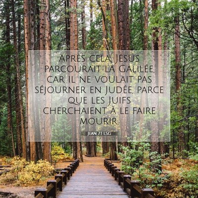 Jean 7:1 LSG Image du verset biblique