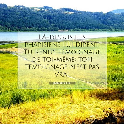 Jean 8:13 LSG Image du verset biblique