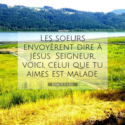 Jean 11:3 LSG Image du verset biblique