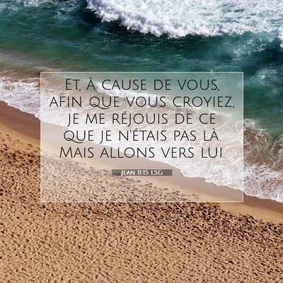 Jean 11:15 LSG Image du verset biblique