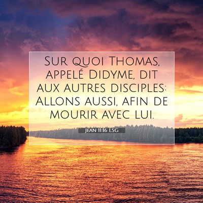 Jean 11:16 LSG Image du verset biblique