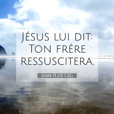 Jean 11:23 LSG Image du verset biblique