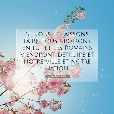 Jean 11:48 LSG Image du verset biblique