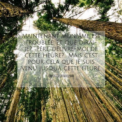 Jean 12:27 LSG Image du verset biblique