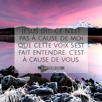 Jean 12:30 LSG Image du verset biblique