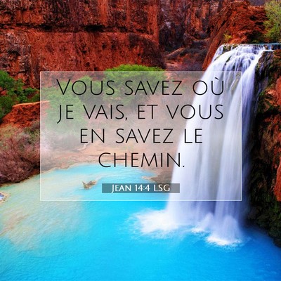 Jean 14:4 LSG Image du verset biblique