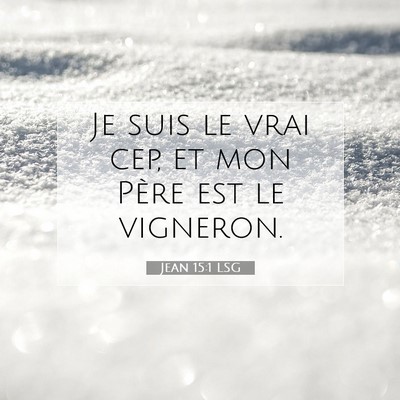 Jean 15:1 Verset biblique expliqué