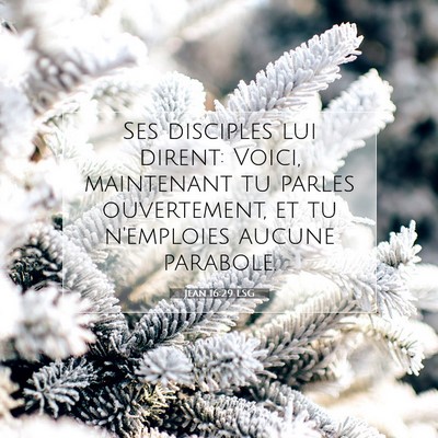 Jean 16:29 LSG Image du verset biblique