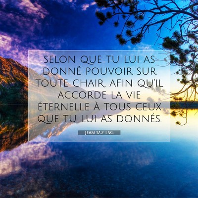 Jean 17:2 LSG Image du verset biblique