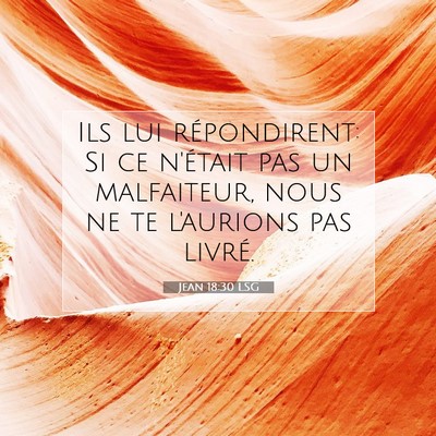 Jean 18:30 LSG Image du verset biblique