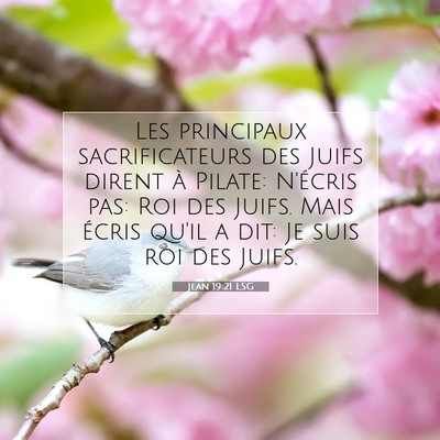 Jean 19:21 LSG Image du verset biblique