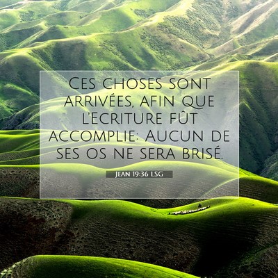 Jean 19:36 LSG Image du verset biblique