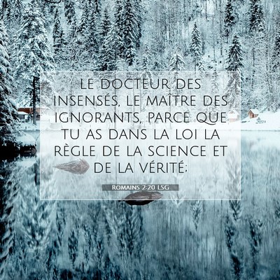 Romains 2:20 LSG Image du verset biblique