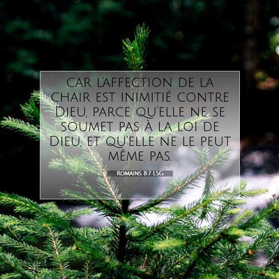 Romains 8:7 LSG Image du verset biblique