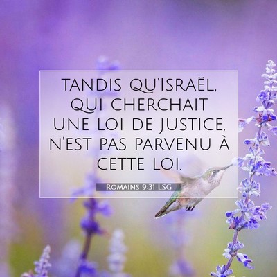 Romains 9:31 LSG Image du verset biblique