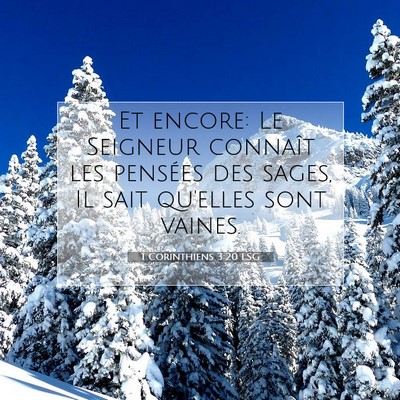 1 Corinthiens 3:20 LSG Image du verset biblique