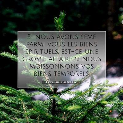 1 Corinthiens 9:11 LSG Image du verset biblique