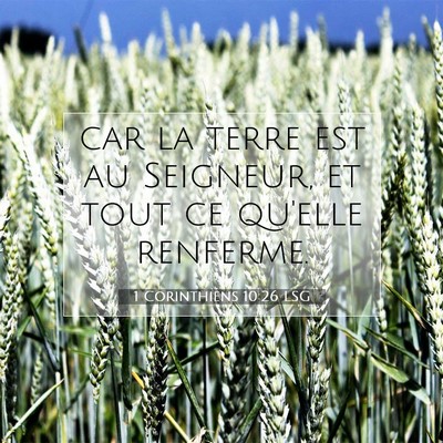 1 Corinthiens 10:26 LSG Image du verset biblique