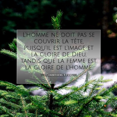 1 Corinthiens 11:7 LSG Image du verset biblique