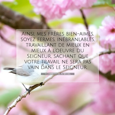 1 Corinthiens 15:58 LSG Image du verset biblique