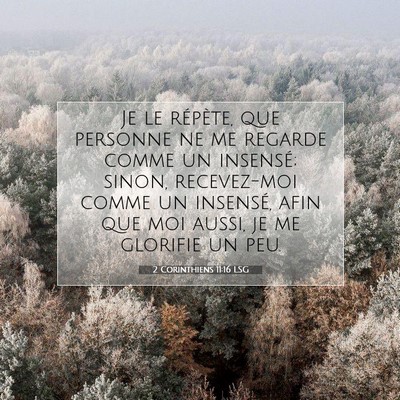 2 Corinthiens 11:16 LSG Image du verset biblique