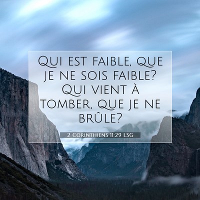 2 Corinthiens 11:29 LSG Image du verset biblique