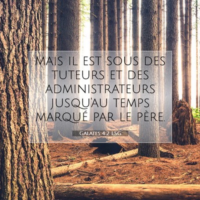 Galates 4:2 LSG Image du verset biblique