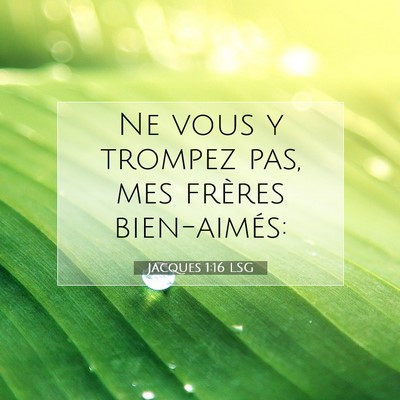 Jacques 1:16 LSG Image du verset biblique