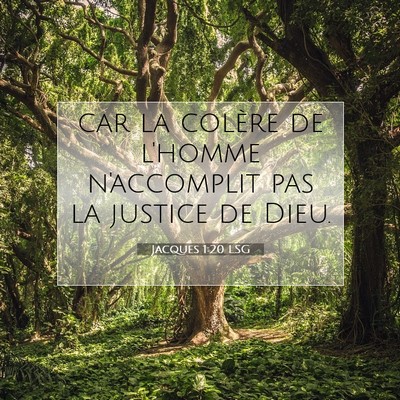 Jacques 1:20 LSG Image du verset biblique