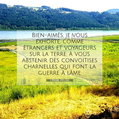 1 Pierre 2:11 LSG Image du verset biblique